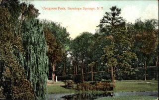 Congress Park Saratoga Springs York Ny Dated 1909 Vintage Postcard
