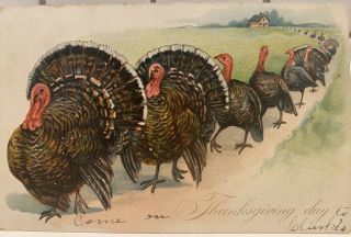 Tucks 1907 Vintage Thanksgiving Postcard - Parade Of Turkeys