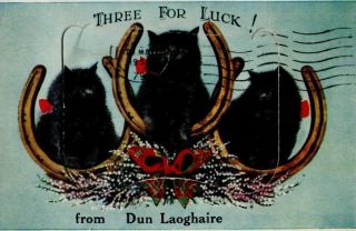 Vintage Mailing Novelty Postcard: Three Black Cats & Horseshoes Dun Laoghaire