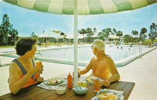 Vintage Florida Chrome Postcard Lehigh Acres Olympic Size Swimming Pool Seniors