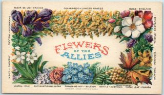 Vintage World War I Wwi Patriotic Postcard " Flowers Of The Allies " 1910s