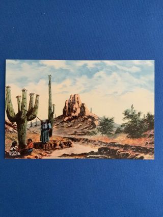Papago Family Picking Saguaro Cactus Fruit.  Vintage Postcard 4 X 6