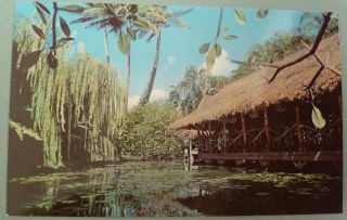 Honolulu Hawaii Postcard Vintage The Willows Restaurant Hi Pc