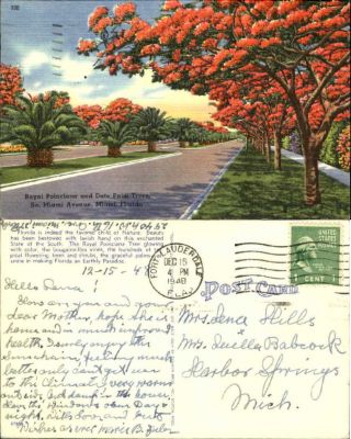 Royal Poinciana Date Palm Trees Miami Avenue Florida Fl Mailed 1948 Vintage