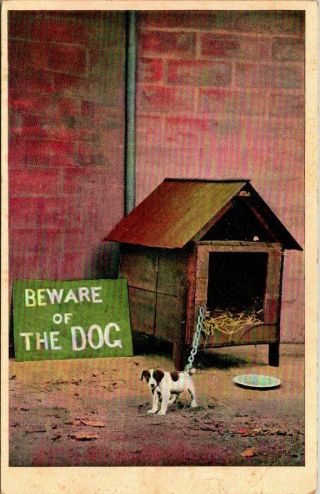 C39 - 8508,  Beware Of The Dog,  Antique/vintage Postcard.