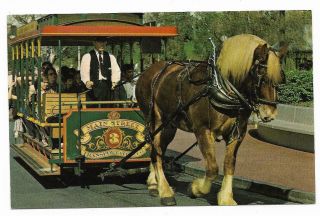 Vintage Florida Chrome Postcard Orlando Disney Horse Drawn Streetcar