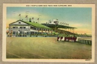 Vintage Thistle Down Horse Race Track,  Grandstand,  Cleveland Ohio Postcard