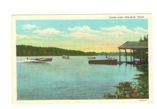 Tx Marshall Texas Vintage Post Card " Caddo Lake "
