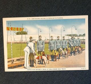Vintage Postcard Greyhound Racing Hollywood Florida H - 15