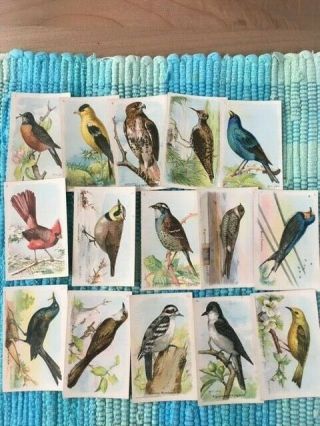 Arm And Hammer Useful Birds Of America Fifth Series 1 - 15