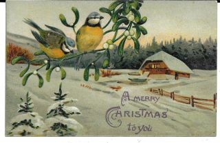Birds On Holly Branch Farm Snow Scene,  Vintage Christmas Advertising Postcard