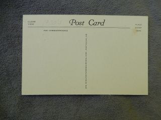Vintage Post Card - St.  Joseph,  Michigan,  SILVER BEACH ROLLER COASTER,  1930 ' s 2
