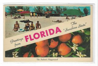 Vtg Post Card Greetings From Florida The " Sunshine State "