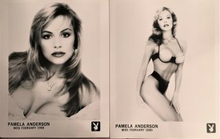 Pamela Anderson Playboy Playmate Feb 1990 Promotional Head & Swimsuit Shot