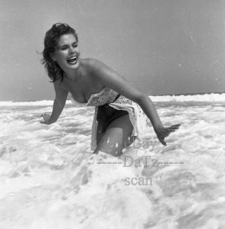 1950s Negative - Sexy Pinup Girl In Swimsuit At The Beach - Cheesecake T273555