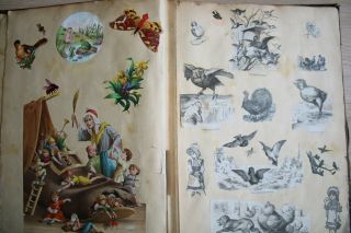 Victorian Scrapbook,  1881,  James Noel Calthrop,  Norfolk. 3