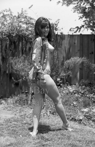 1960s Negative - Sexy Nude Brunette Pinup Girl Hillary Von Dyle - Cheesecake T273041