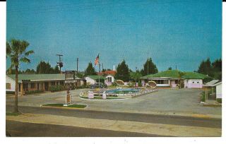 Lion Motor Court & Cottages,  St.  Augustine,  Florida Vintage Postcard 1950 