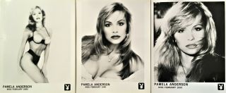 Pamela Anderson Playboy Playmate Feb 1990 - Three Vintage Promotional Photos