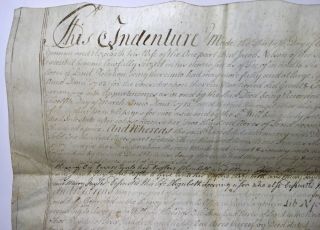 1765 Early American Colonial Handwritten Manuscript Vellum Indenture Jersey 2
