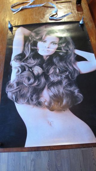 Vintage Poster Sexy Raquel Welch Posing Nude,  Covered By Her Long Hair