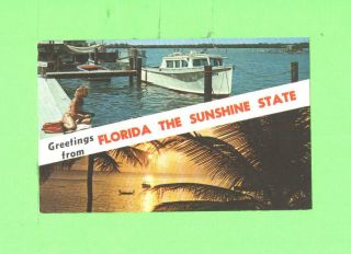 Zz Postcard Greetings From Florida The Shunshine State Bathing Beauty And Boat