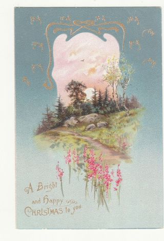 A Bright & Happy Christmas To You Raphael Tuck Vintage Postcard C1913