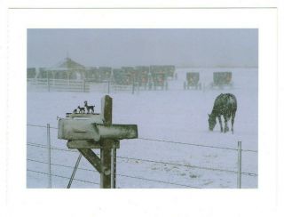 Snow Scene Shipshewana Indiana Amish Country Art Vtg 4.  5 " X 6.  5 " Postcard Sl10
