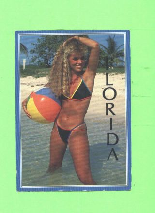 Oo Postcard Sexy Woman Bikini Beauty Florida Postcard
