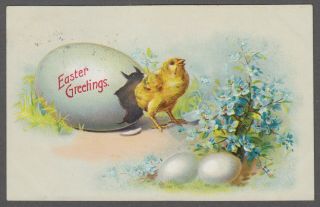 Easter Greetings Chick Hatched From Egg 1908 Vintage Postcard - C654
