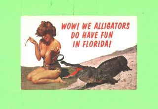 Oo Postcard Sexy Woman Bathing Beauty Alligator Have Fun In Florida Comic Card