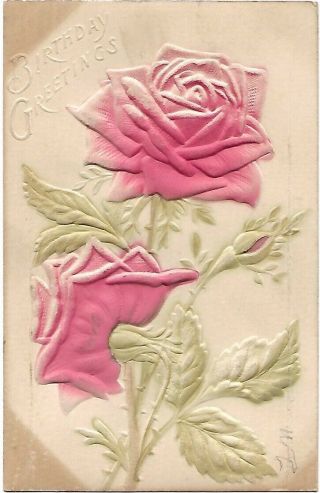 Birthday Greetings Pink Roses Vintage Postcard C1915