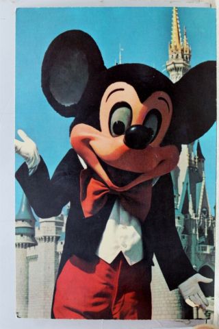Walt Disney World Mickey Mouse Fantasyland Postcard Old Vintage Card View Post