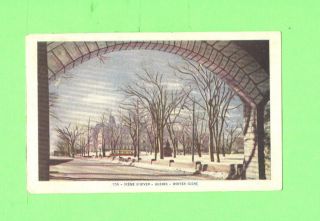 D Postcard Scene D Hiver Quebec Winter Scene Vintage Post Card