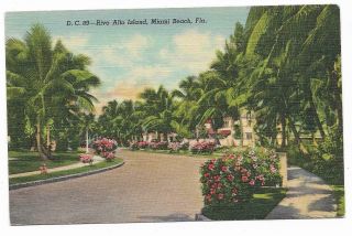 Vintage Florida Linen Postcard Miami Beach Rivo Alto Island