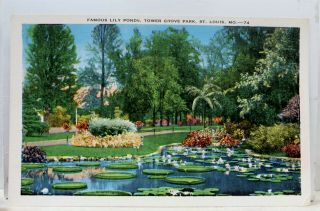Missouri Mo St Louis Tower Grove Park Lily Ponds Postcard Old Vintage Card View