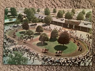Vintage Postcard Of Monmouth Park,  Oceanport,  Jersey