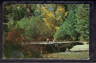 Vintage Postcard - Fishing In Red River,  Mexico Nm - Chrome / Posted