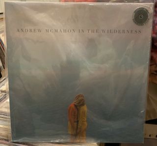 Vinyl Record - Andrew Mcmahon In The Wilderness Self - Titled
