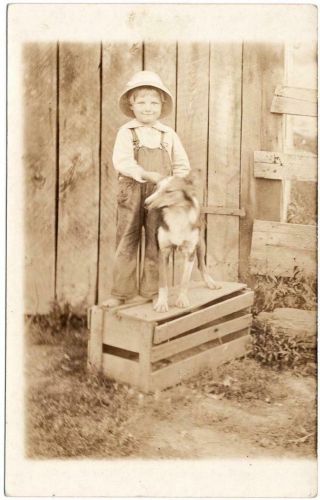 Vintage Real Photo Postcard Little Boy And His Dog Standing On Crate Box