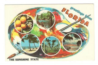 Greetings From Florida The Sunshine State Vintage Postcard Af127