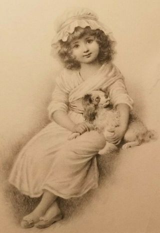 1907 A Little Girl Posing With Her Cute Dog Portrait Vintage Postcard