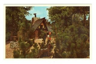 Little Red Riding Hood Dwarf Village Bush Gardens Tampa Fl.  Vtg Postcard Eb61