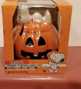 Peanuts Snoopy Halloween Pumpkin Ceramic Candy Dish Woodstock