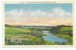 Vintage Tennessee Linen Postcard State Fish Hatchery Near Morristown