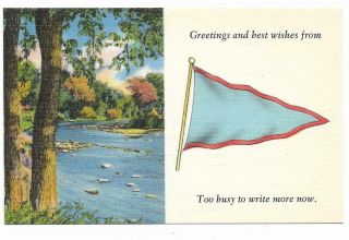 Vintage Linen Postcard Unknown Location Trees Woods Stream Flag Too Busy Write