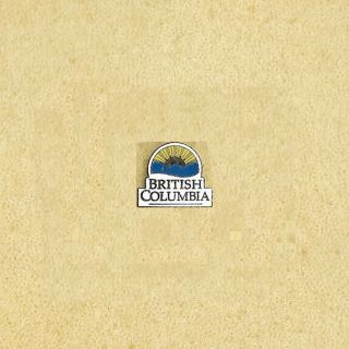 British Columbia Bc Province Of Canada Official Logo Pin Old