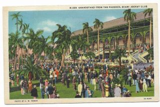 Vintage Florida Linen Postcard Miami Jockey Club Grandstand From Paddock