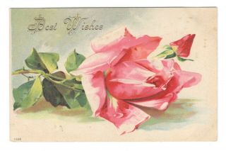 Best Wishes Pink Flowers Vintage Postcard Eb175