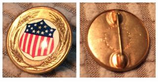 Vintage Collectible Pin: Usa American Shield 13 Stars Whitehead Hoag